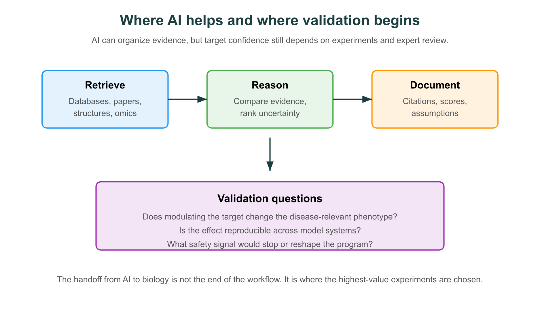 Where AI helps and where validation begins