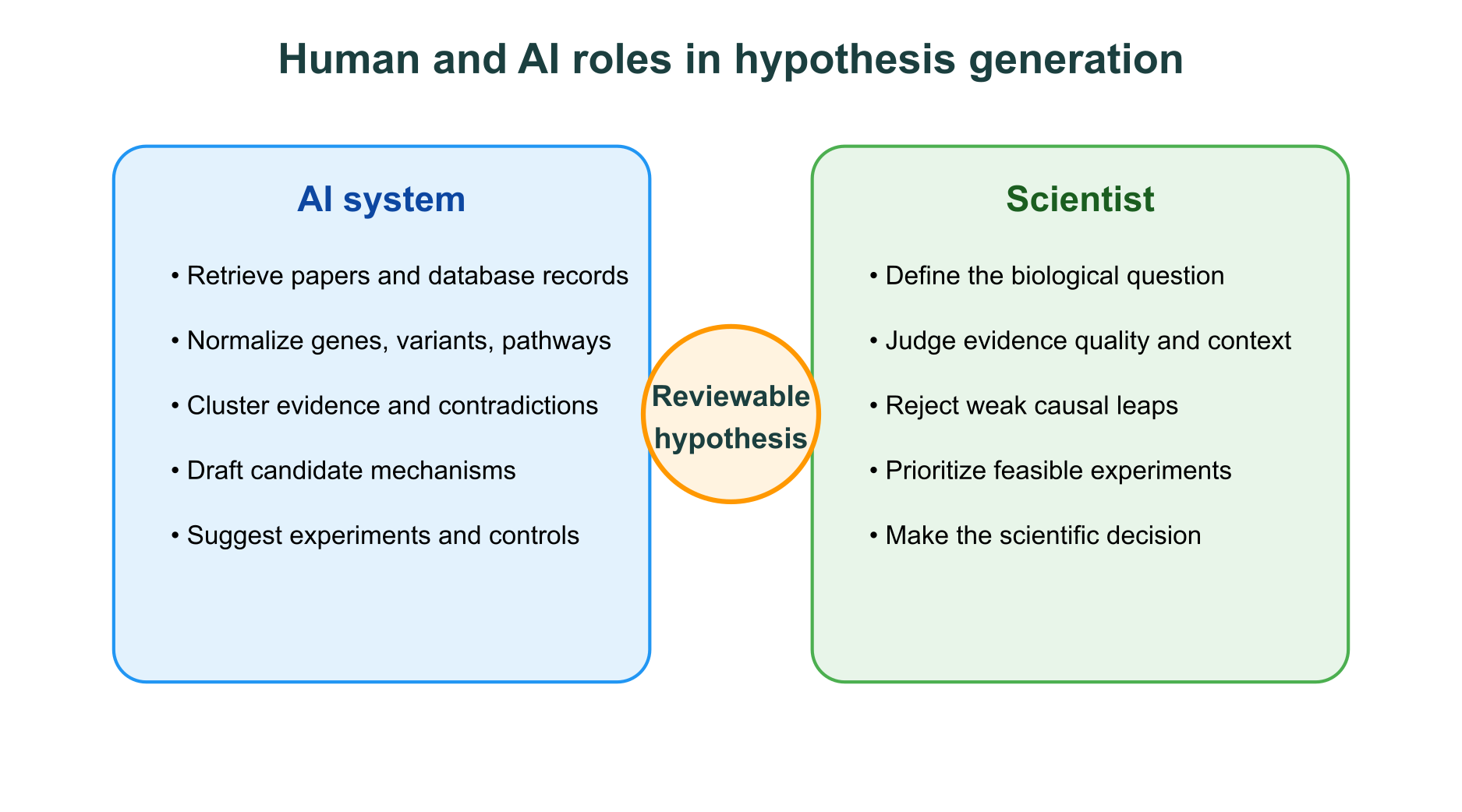 AI and scientist roles in reviewable hypothesis generation