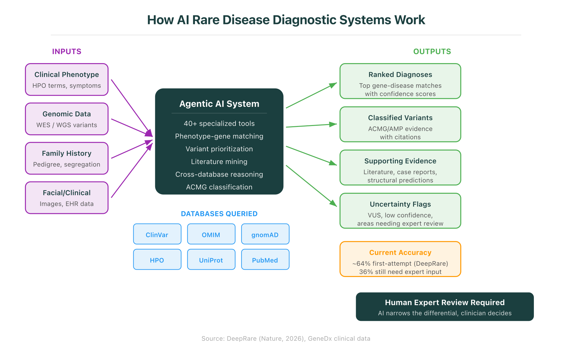 How an agentic AI rare disease diagnostic system processes inputs (phenotype, genomic data, family history) through specialized tools and databases to produce ranked diagnoses, classified variants, and uncertainty flags