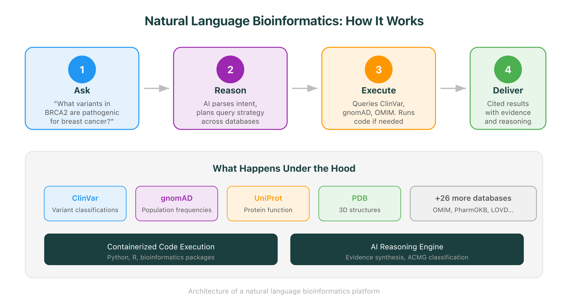 How a natural language bioinformatics query flows through reasoning, database queries, code execution, and evidence delivery