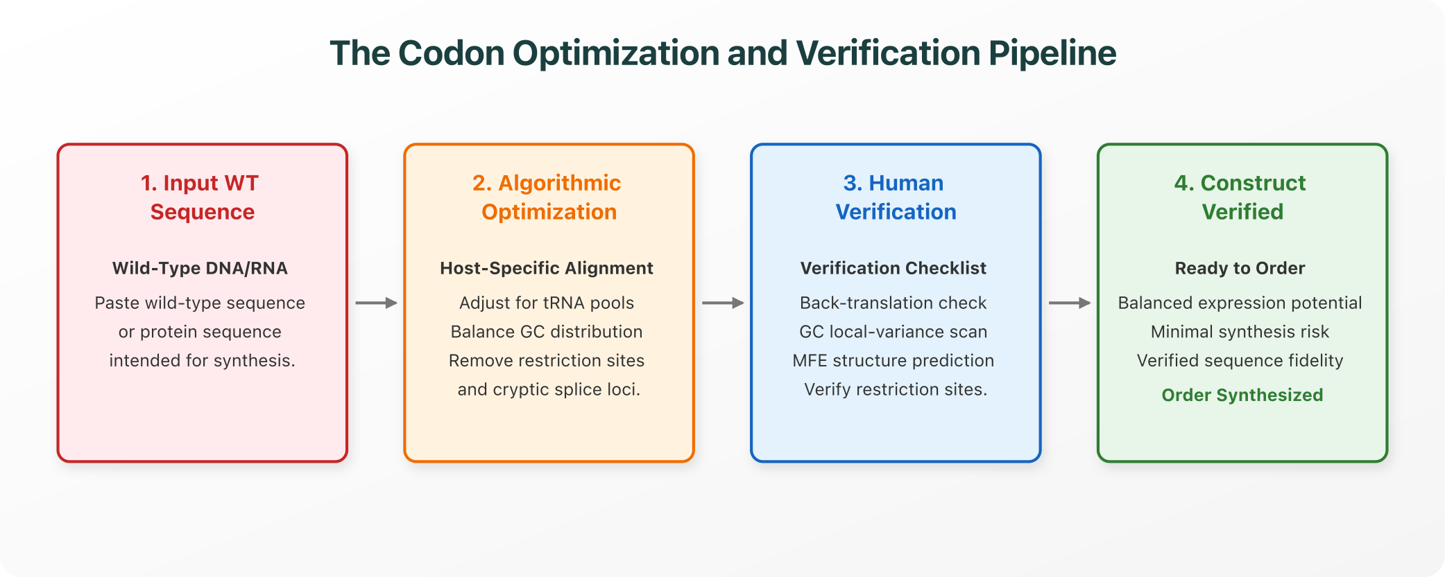 The Codon Optimization and Verification Pipeline
