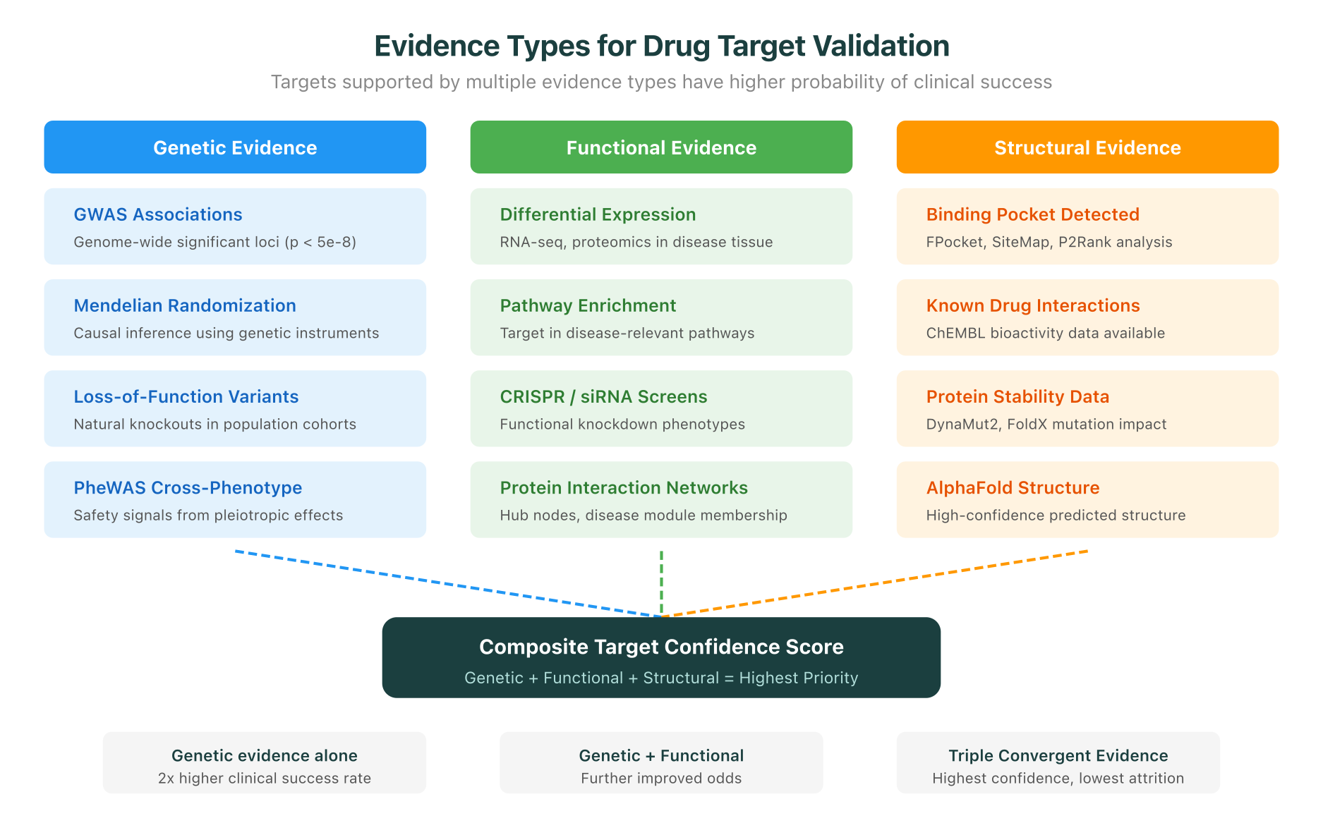 Evidence Types for Drug Target Validation: Genetic, Functional, and Structural evidence converge to produce a composite target confidence score