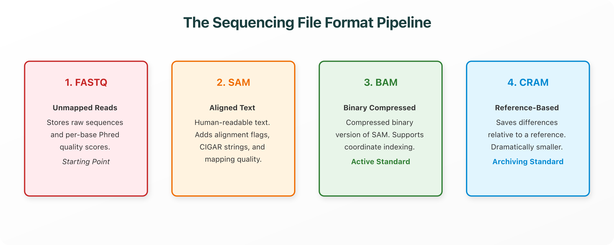 The Sequencing File Format Pipeline