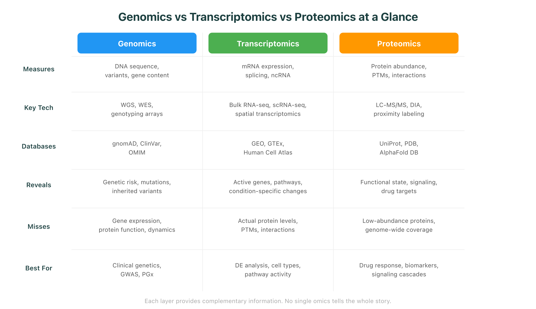 Comparison of genomics, transcriptomics, and proteomics: what each measures, key technologies, databases, and what each reveals