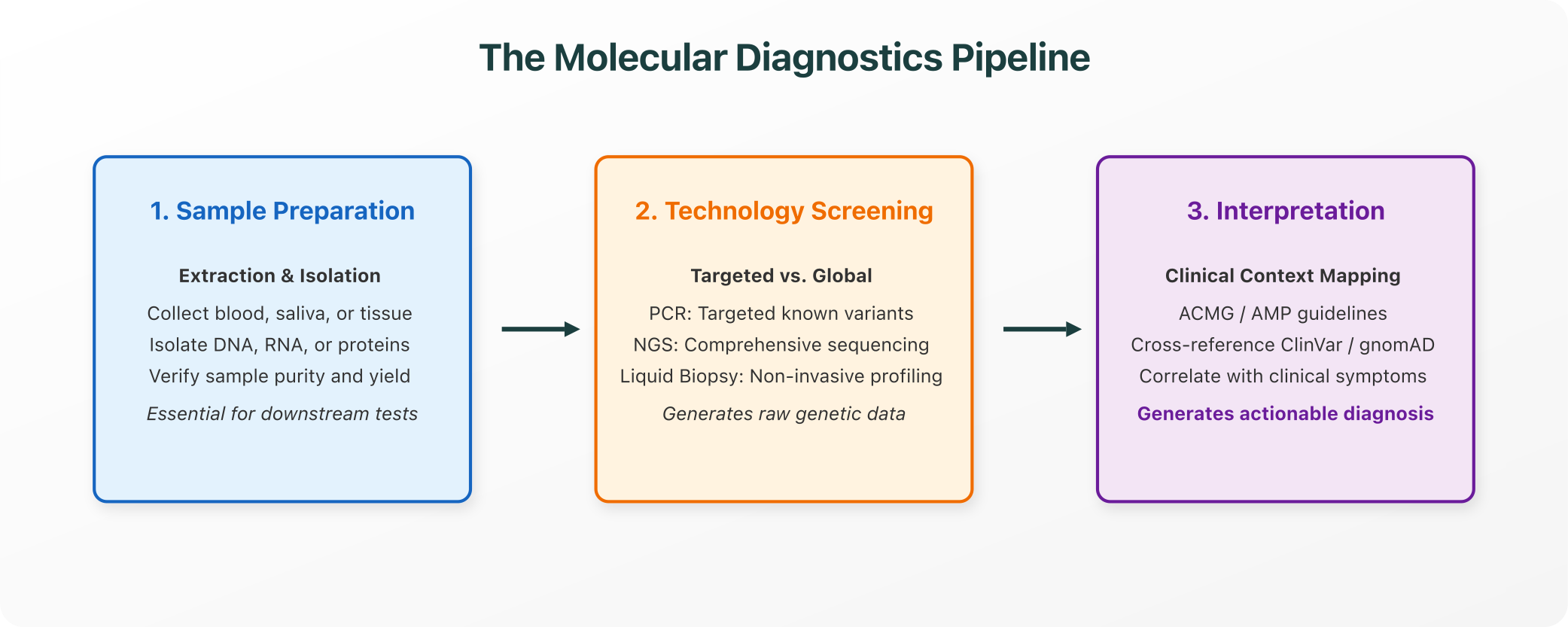 The Molecular Diagnostics Pipeline