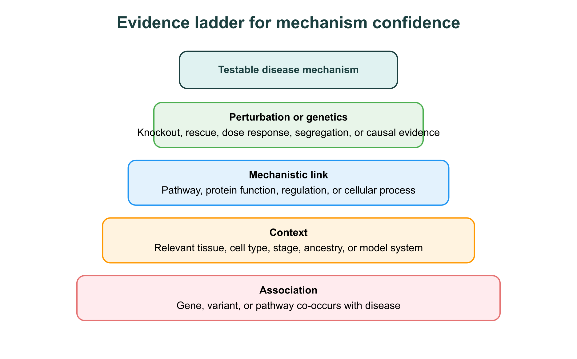 Evidence ladder for moving from association to testable disease mechanism