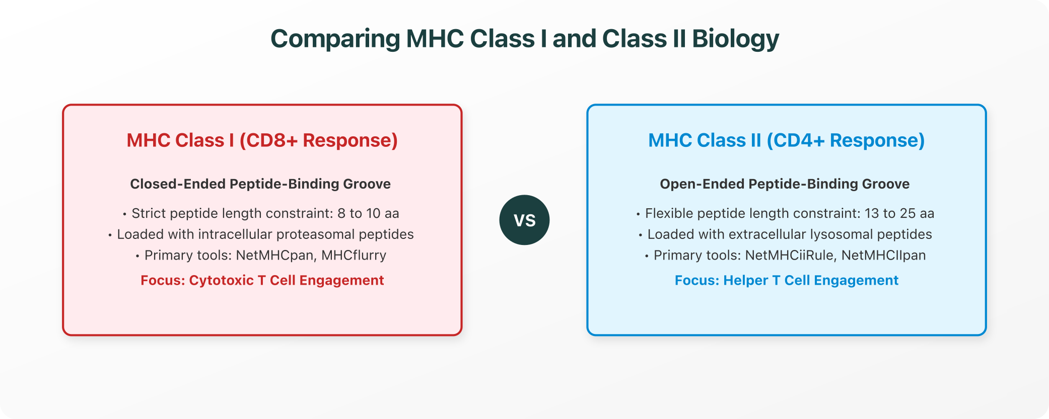 Comparing MHC Class I and Class II Biology