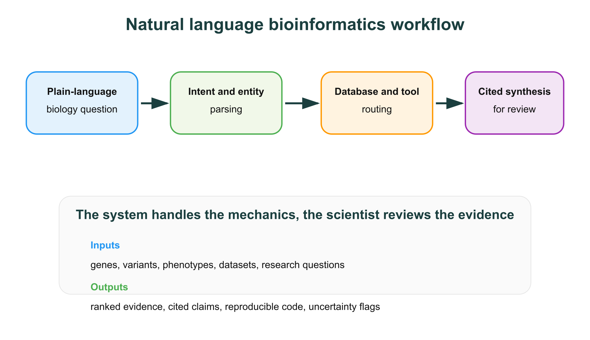 Natural language bioinformatics workflow from plain-language question to cited synthesis