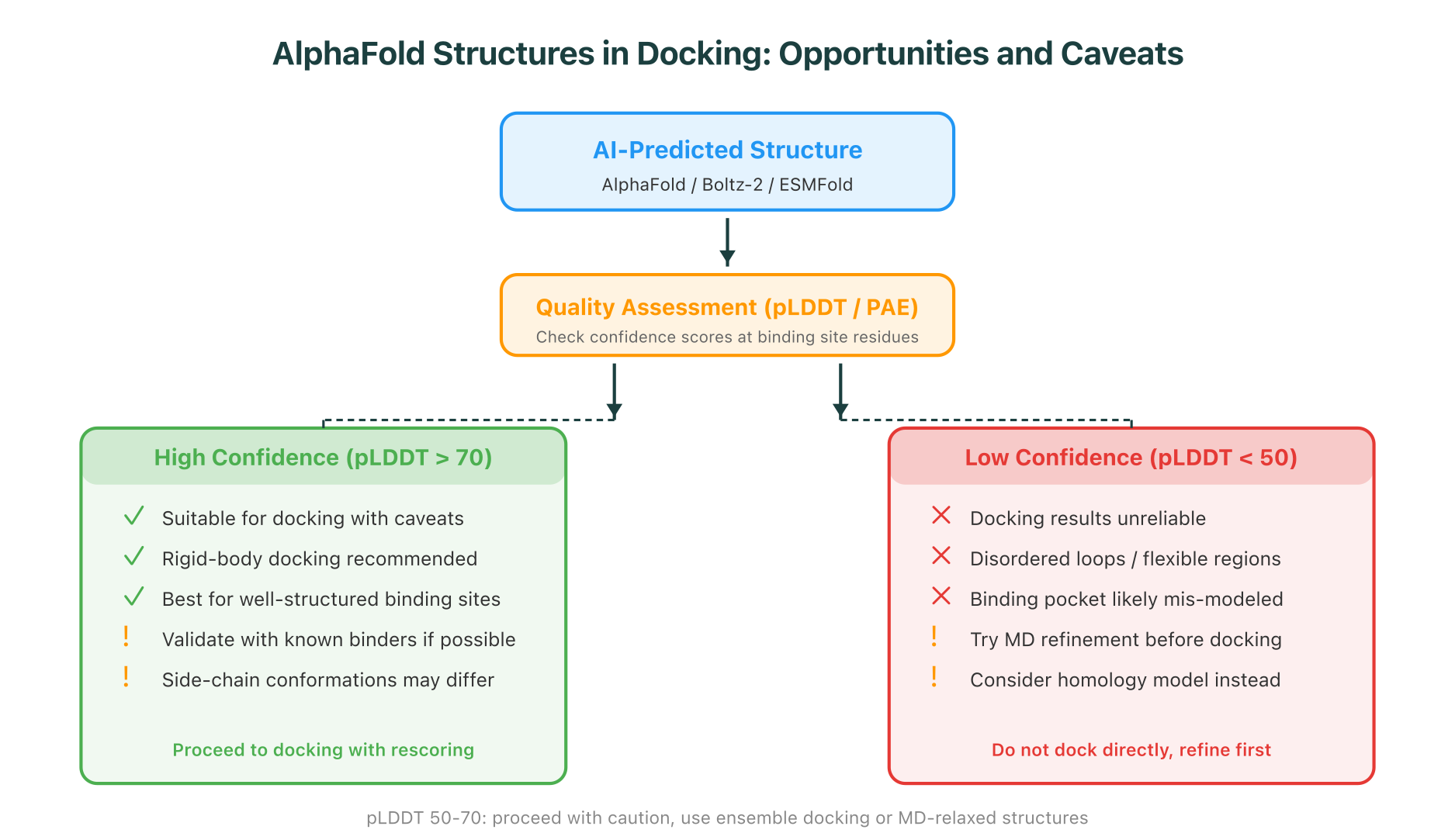 AlphaFold Structures in Docking: Opportunities and Caveats