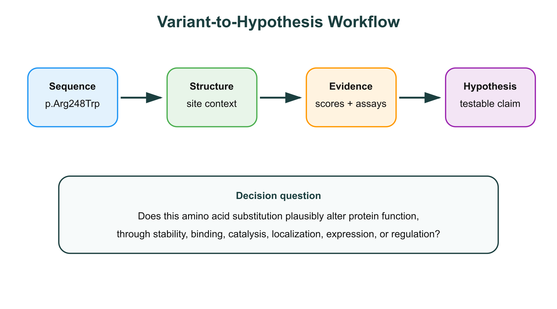 Variant-to-hypothesis workflow for protein mutation effect prediction