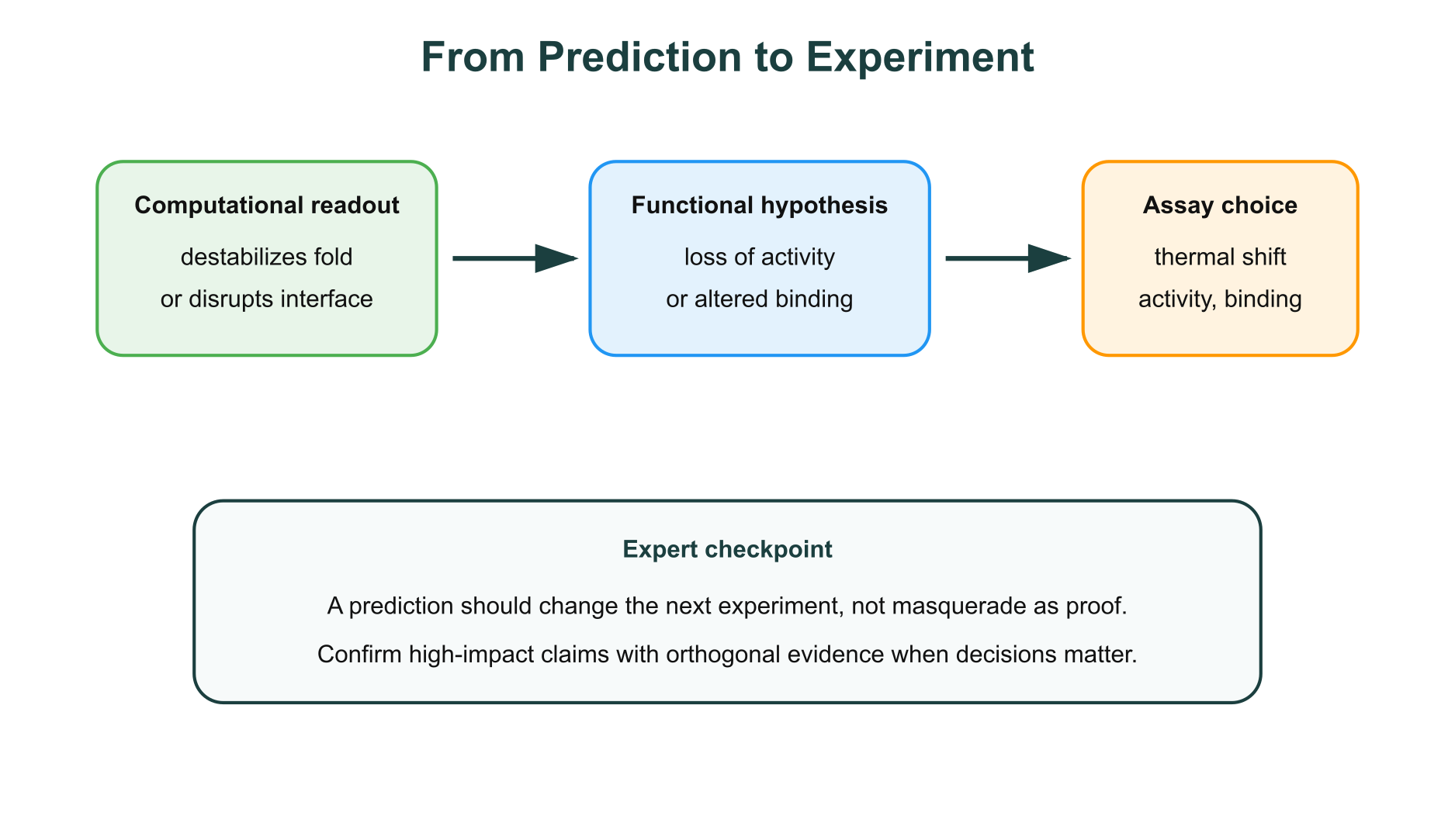 From prediction to experiment workflow