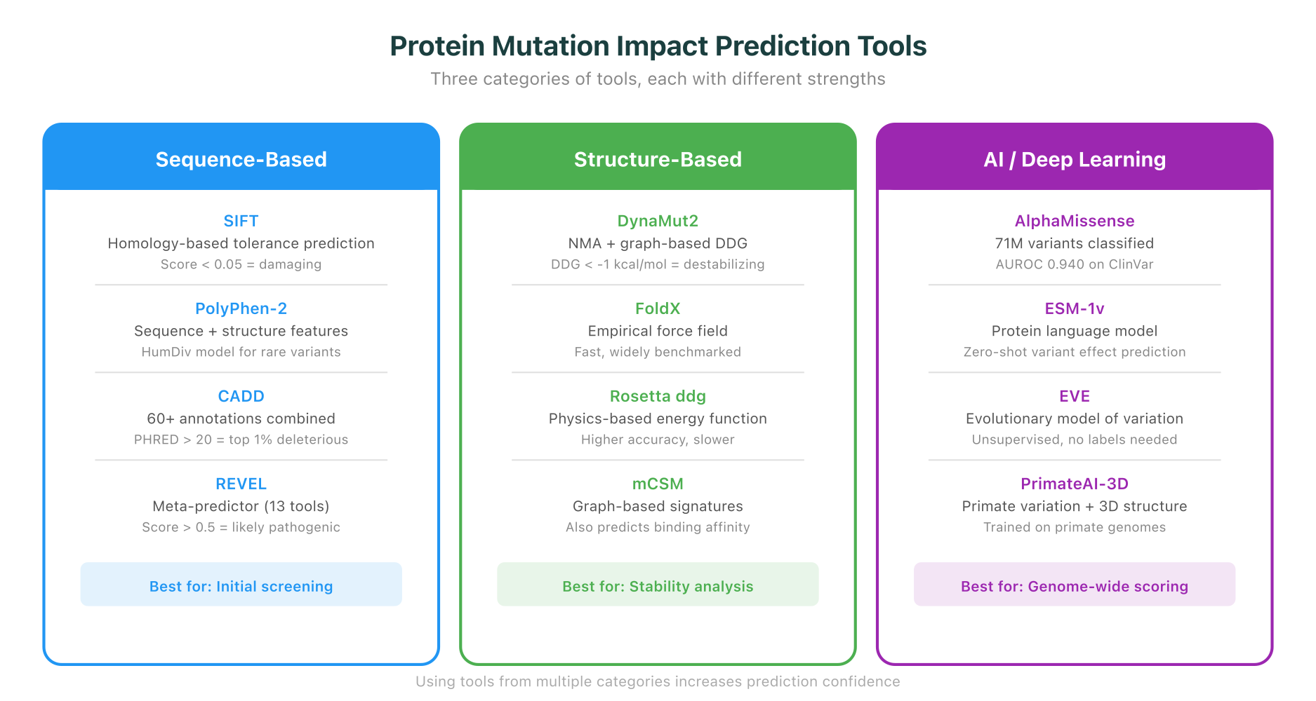 Comparison of key tools for protein mutation impact prediction: sequence-based tools, structure-based tools, and AI-based predictors with their strengths and use cases