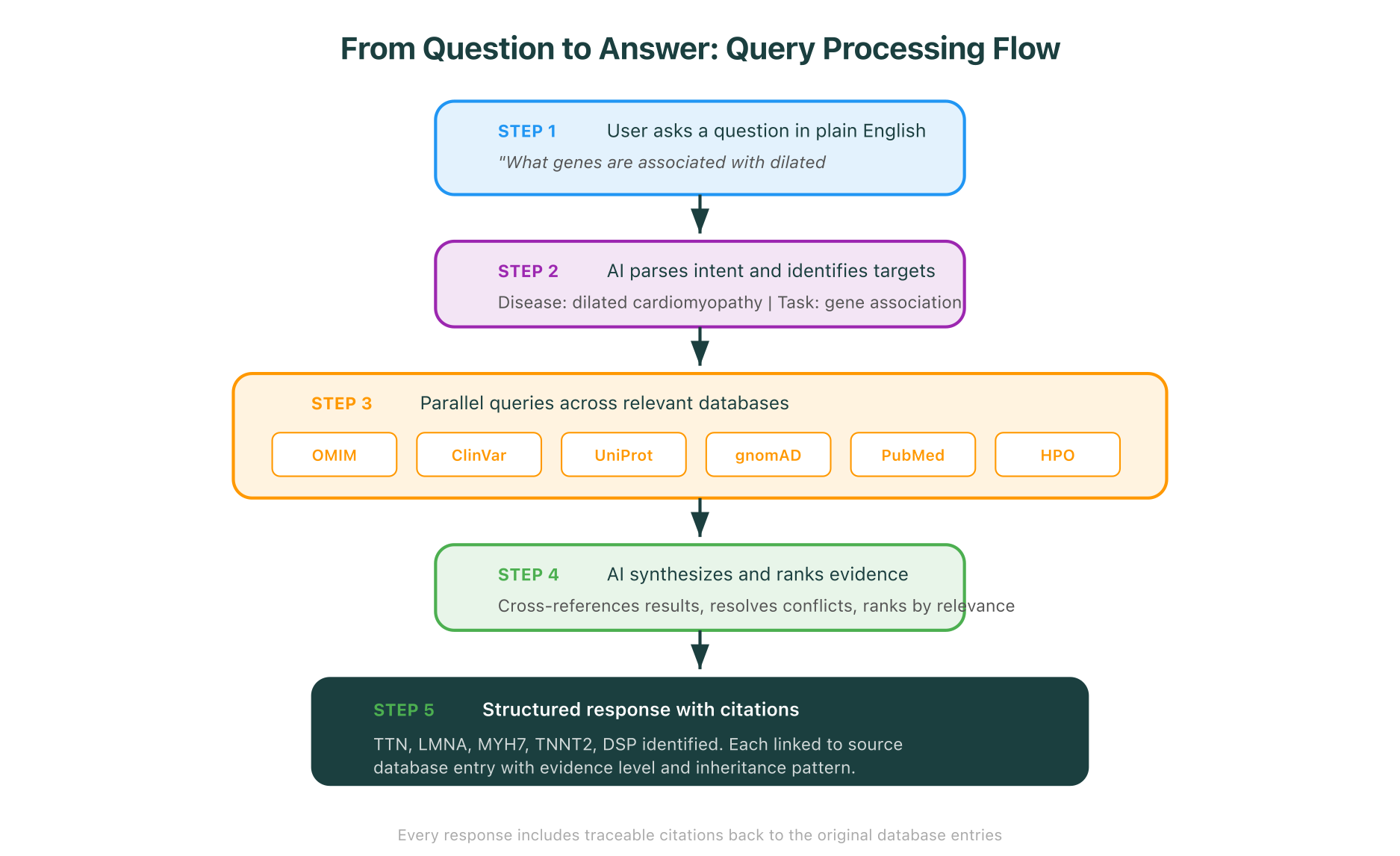 From question to answer: the five-step query processing flow showing how a natural language question gets parsed, routed to relevant databases, synthesized, and returned with citations