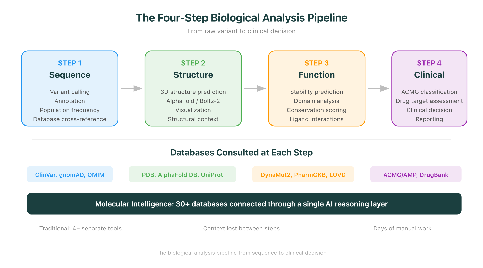 The four-step biological analysis pipeline from sequence to clinical decision