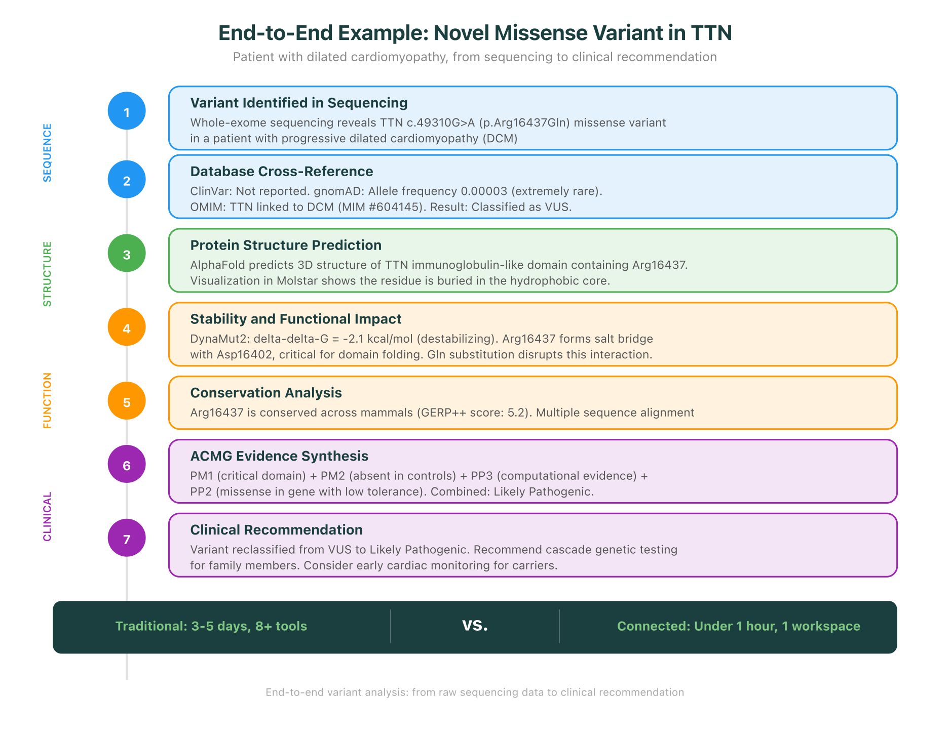 End-to-end example: Novel missense variant in TTN from sequencing to clinical recommendation