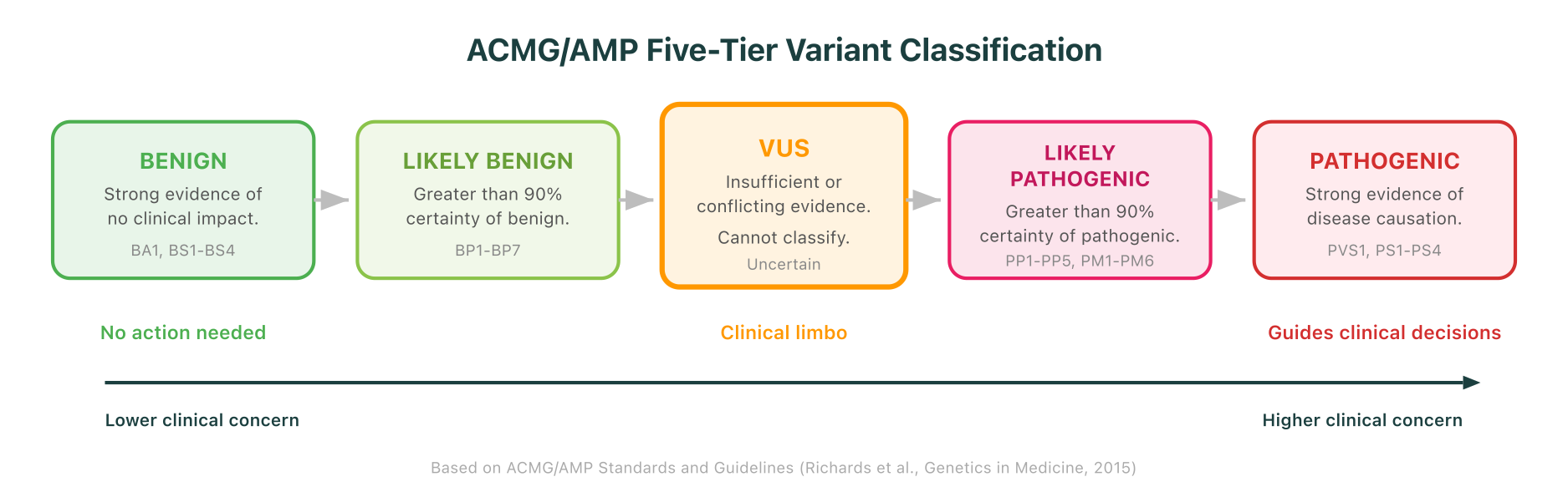 The ACMG/AMP five-tier variant classification spectrum, from benign to pathogenic, with VUS highlighted in the center as the zone of insufficient evidence