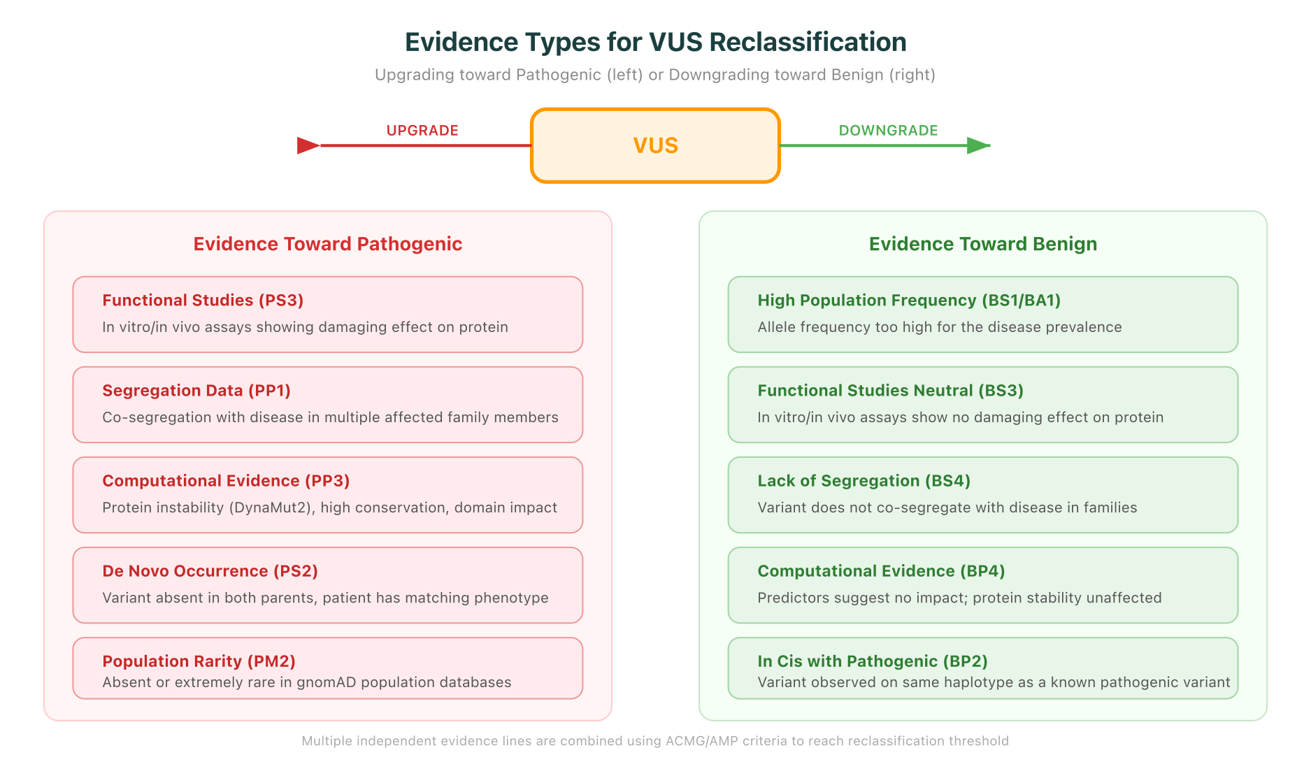 Evidence types that can upgrade or downgrade a VUS, showing the ACMG criteria codes for pathogenic and benign evidence lines