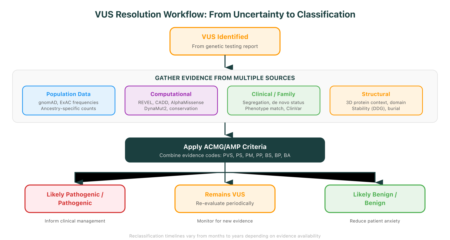VUS resolution workflow showing the path from identification through evidence gathering, ACMG criteria application, and the three possible reclassification outcomes