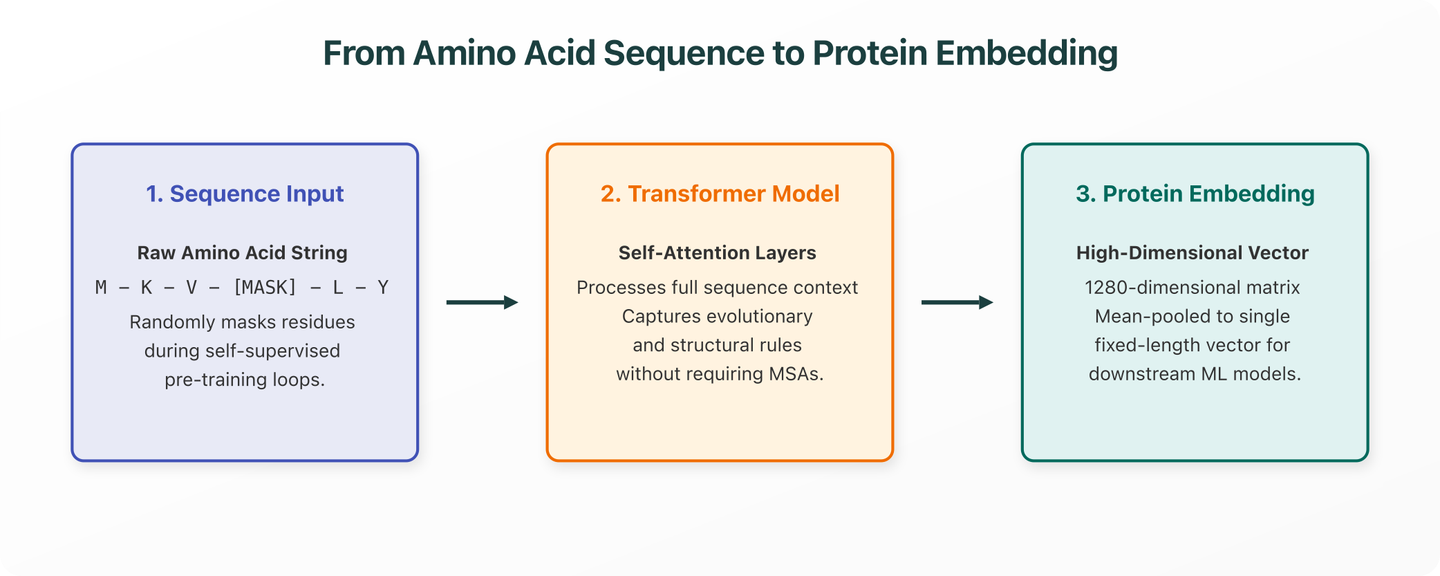 From Sequence to Embedding Vector